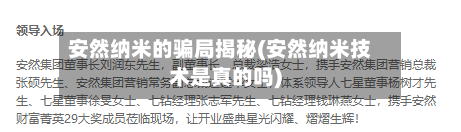 安然纳米的骗局揭秘(安然纳米技术是真的吗)-第2张图片