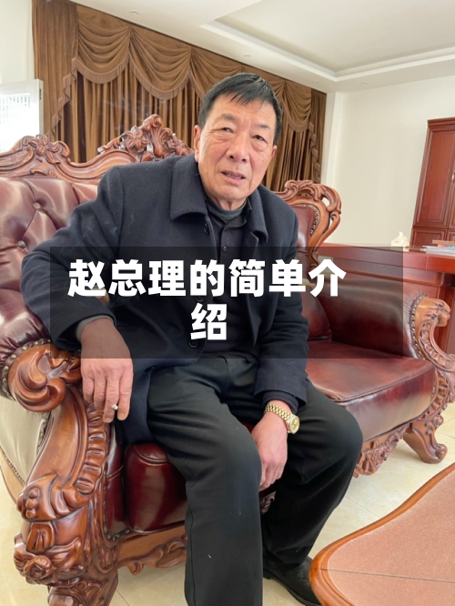 赵总理的简单介绍-第2张图片