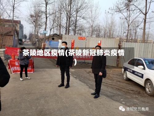 茶陵地区疫情(茶陵新冠肺炎疫情)-第3张图片