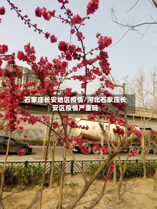 石家庄长安地区疫情/河北石家庄长安区疫情严重吗-第1张图片
