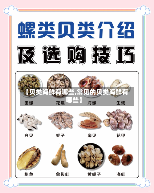 【贝类海鲜有哪些,常见的贝类海鲜有哪些】-第1张图片