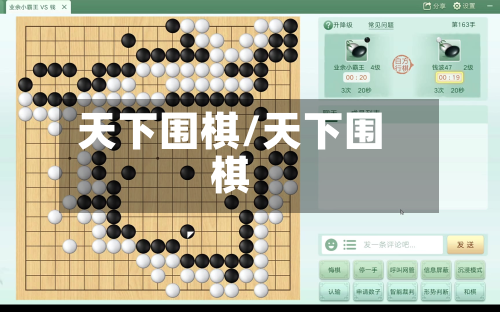 天下围棋/天下围棋-第1张图片
