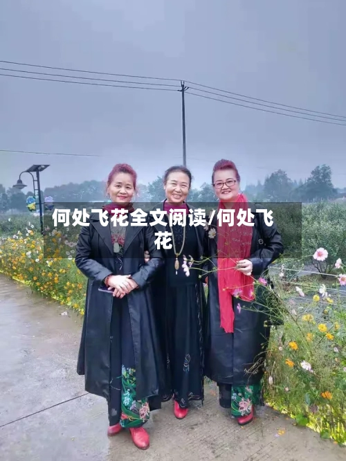 何处飞花全文阅读/何处飞花-第2张图片