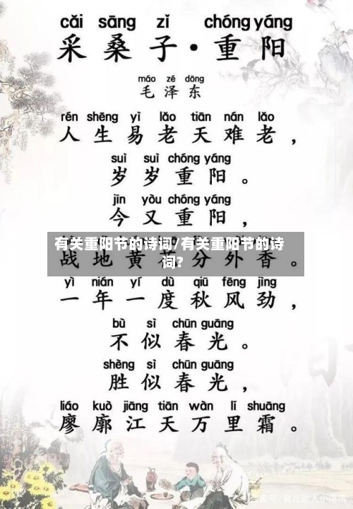 有关重阳节的诗词/有关重阳节的诗词?-第3张图片