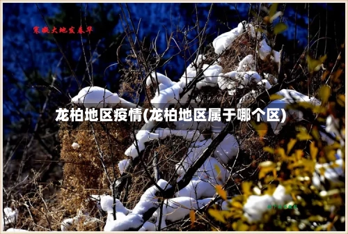 龙柏地区疫情(龙柏地区属于哪个区)-第2张图片