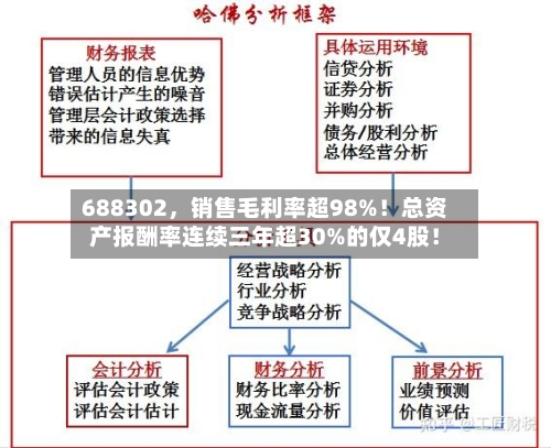 688302，销售毛利率超98%！总资产报酬率连续三年超30%的仅4股！-第1张图片