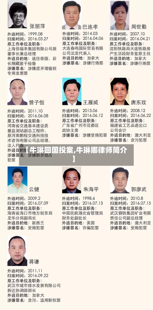 【牛琳回国投案,牛琳娜律师简介】-第1张图片