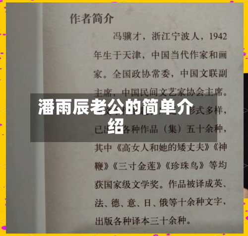 潘雨辰老公的简单介绍-第2张图片