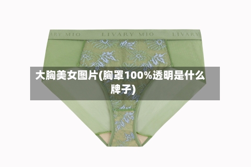 大胸美女图片(胸罩100%透明是什么牌子)-第1张图片