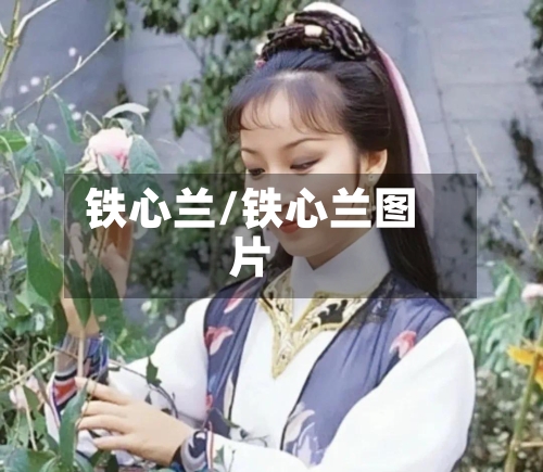 铁心兰/铁心兰图片-第2张图片