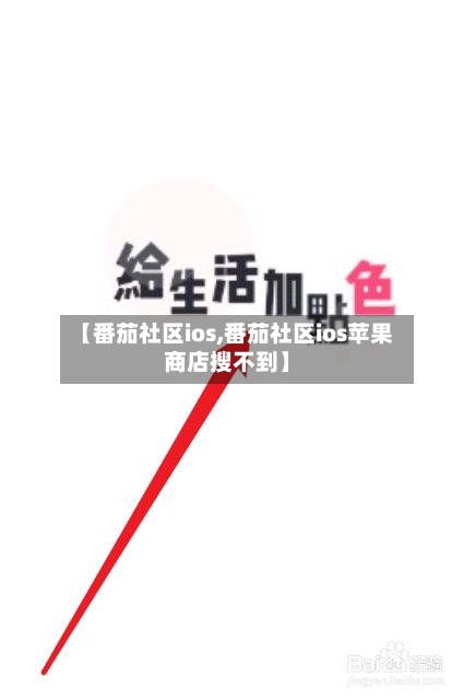 【番茄社区ios,番茄社区ios苹果商店搜不到】-第1张图片