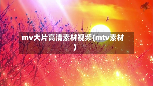 mv大片高清素材视频(mtv素材)-第2张图片