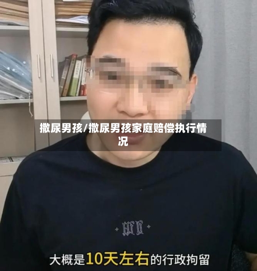 撒尿男孩/撒尿男孩家庭赔偿执行情况-第3张图片