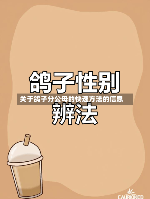 关于鸽子分公母的快速方法的信息-第1张图片