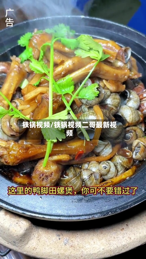 铁锅视频/铁锅视频二哥最新视频-第3张图片