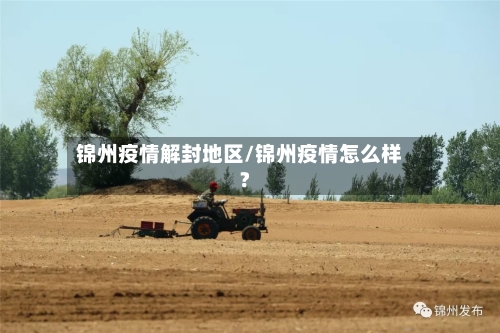 锦州疫情解封地区/锦州疫情怎么样?-第3张图片