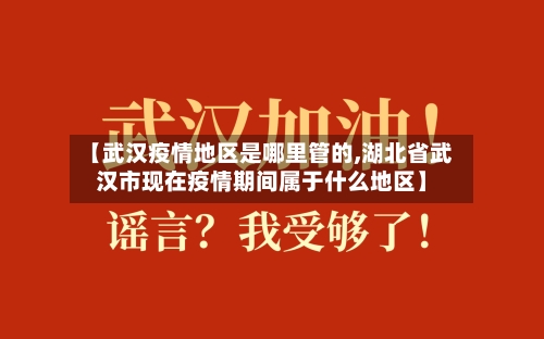 【武汉疫情地区是哪里管的,湖北省武汉市现在疫情期间属于什么地区】-第1张图片