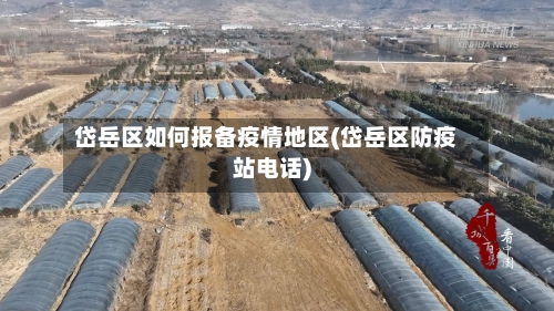 岱岳区如何报备疫情地区(岱岳区防疫站电话)-第2张图片