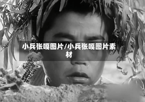 小兵张嘎图片/小兵张嘎图片素材-第2张图片