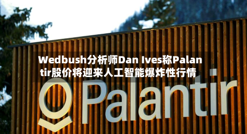 Wedbush分析师Dan Ives称Palantir股价将迎来人工智能爆炸性行情-第1张图片