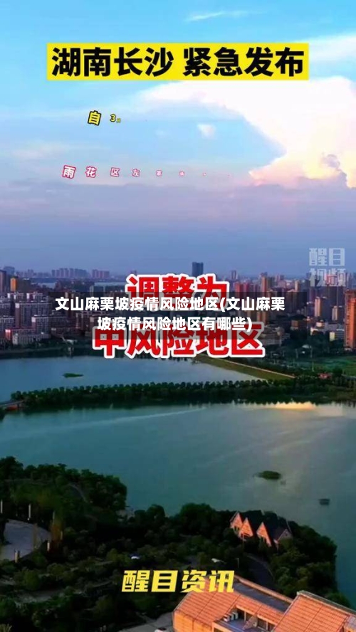 文山麻栗坡疫情风险地区(文山麻栗坡疫情风险地区有哪些)-第2张图片