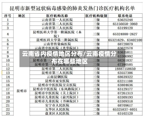 云南省内疫情地区分布/云南疫情分布在哪些地区-第3张图片