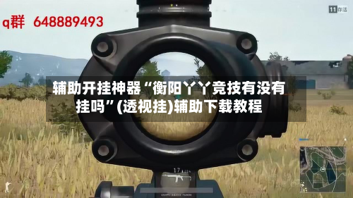 辅助开挂神器“衡阳丫丫竞技有没有挂吗”(透视挂)辅助下载教程-第1张图片