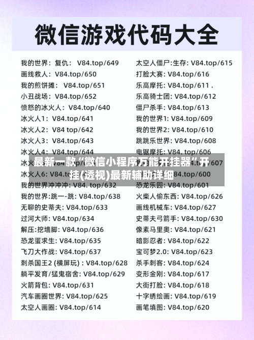 最新一款“微信小程序万能开挂器”开挂(透视)最新辅助详细-第1张图片