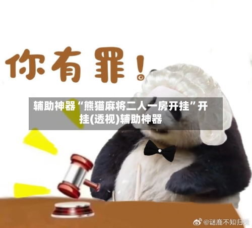 辅助神器“熊猫麻将二人一房开挂”开挂(透视)辅助神器-第2张图片