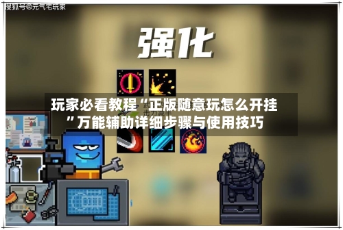 玩家必看教程“正版随意玩怎么开挂”万能辅助详细步骤与使用技巧-第1张图片