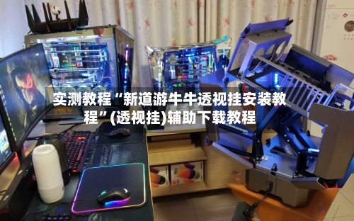 实测教程“新道游牛牛透视挂安装教程	”(透视挂)辅助下载教程-第2张图片