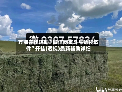 万能开挂辅助“微信网页斗牛透视软件”开挂(透视)最新辅助详细-第3张图片