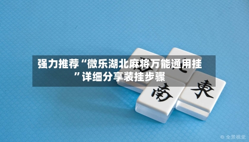强力推荐“微乐湖北麻将万能通用挂	”详细分享装挂步骤-第2张图片