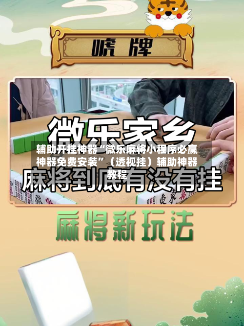 辅助开挂神器“微乐麻将小程序必赢神器免费安装	”（透视挂）辅助神器教程-第3张图片