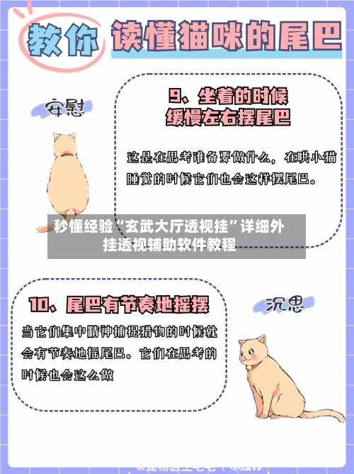 秒懂经验“玄武大厅透视挂”详细外挂透视辅助软件教程-第1张图片