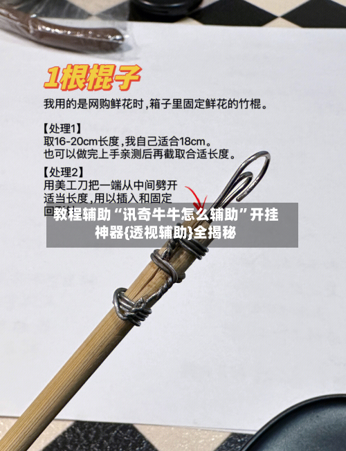 教程辅助“讯奇牛牛怎么辅助”开挂神器{透视辅助}全揭秘-第1张图片