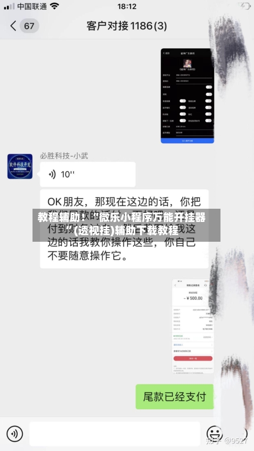 教程辅助！“微乐小程序万能开挂器”(透视挂)辅助下载教程-第1张图片