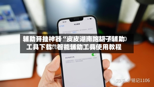 辅助开挂神器“皮皮湖南跑胡子辅助工具下载	”智能辅助工具使用教程-第2张图片