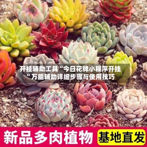开挂辅助工具“今日花牌小程序开挂	”万能辅助详细步骤与使用技巧-第1张图片