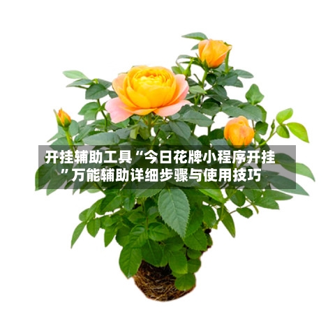 开挂辅助工具“今日花牌小程序开挂”万能辅助详细步骤与使用技巧-第2张图片