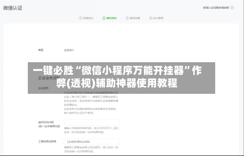 一键必胜“微信小程序万能开挂器”作弊(透视)辅助神器使用教程-第1张图片