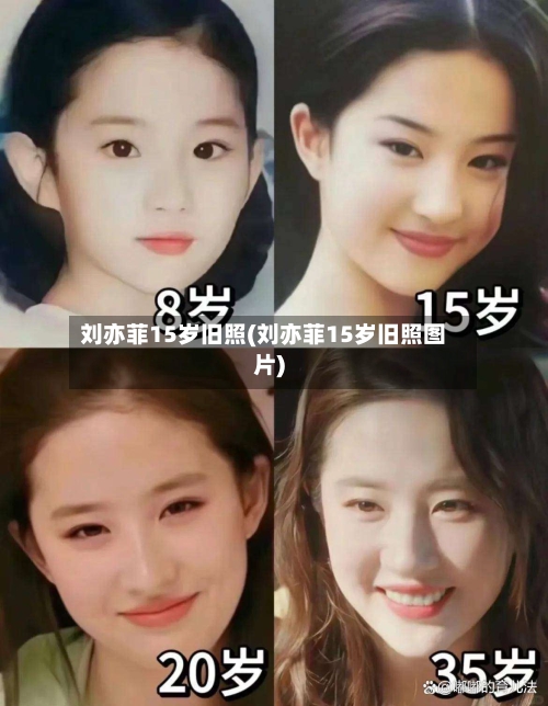 刘亦菲15岁旧照(刘亦菲15岁旧照图片)-第3张图片