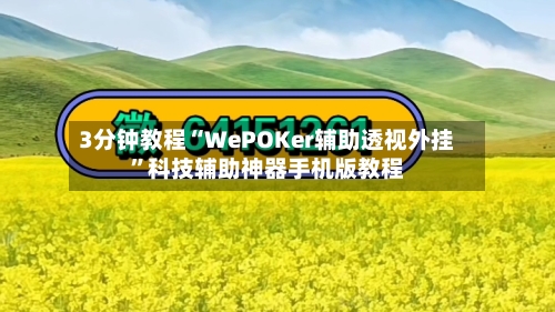 3分钟教程“WePOKer辅助透视外挂	”科技辅助神器手机版教程-第1张图片