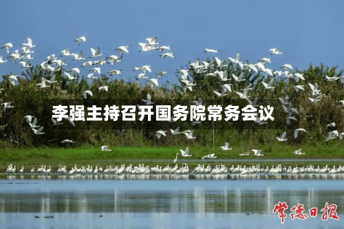 李强主持召开国务院常务会议-第1张图片