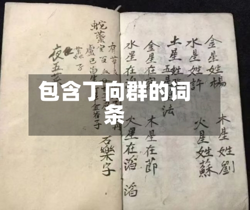 包含丁向群的词条-第1张图片