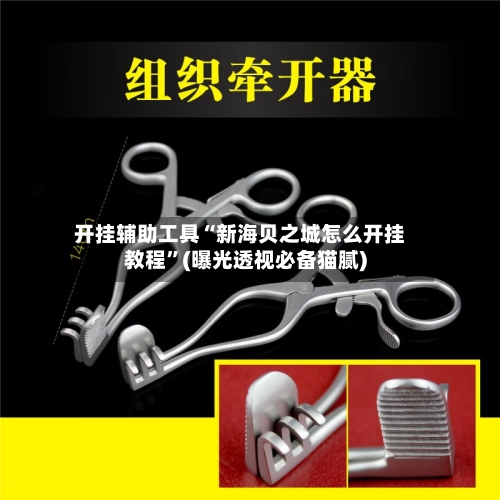 开挂辅助工具“新海贝之城怎么开挂教程	”(曝光透视必备猫腻)-第3张图片