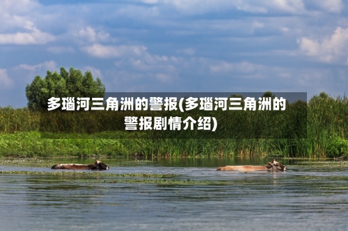多瑙河三角洲的警报(多瑙河三角洲的警报剧情介绍)-第1张图片