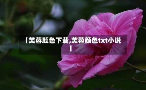 【芙蓉颜色下载,芙蓉颜色txt小说】-第2张图片