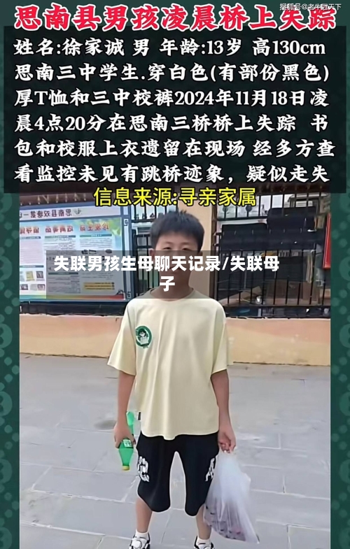 失联男孩生母聊天记录/失联母子-第1张图片