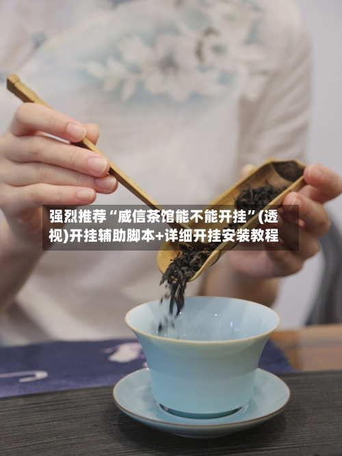 强烈推荐“威信茶馆能不能开挂”(透视)开挂辅助脚本+详细开挂安装教程-第2张图片